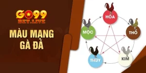 Màu mạng gà đá - Phương pháp mang đến lợi thế lớn khi chơi