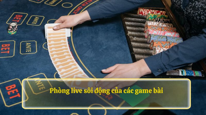 Phòng live sôi động của các game bài